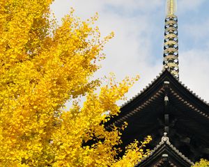 Preview wallpaper pagoda, building, japan, autumn, architecture