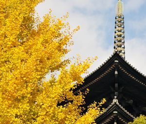 Preview wallpaper pagoda, building, japan, autumn, architecture