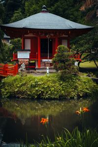 Preview wallpaper pagoda, building, pond, grass, japan, landscape