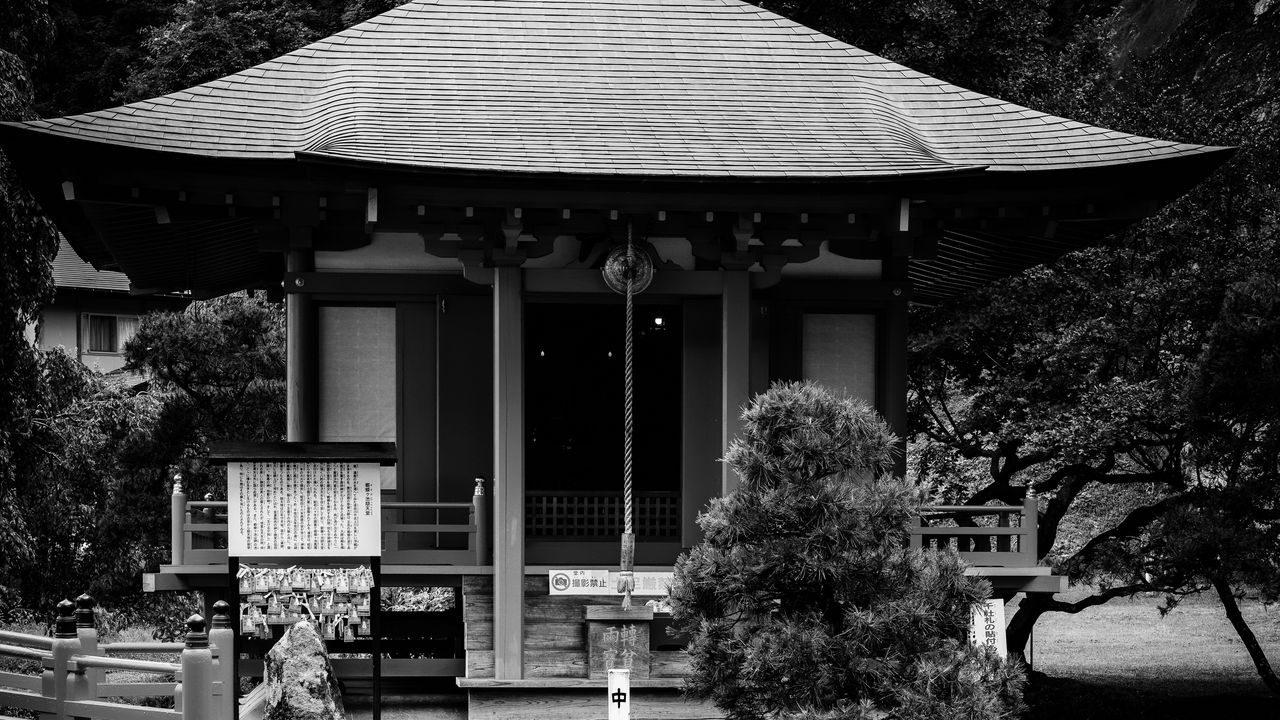 Wallpaper pagoda, building, pond, black and white