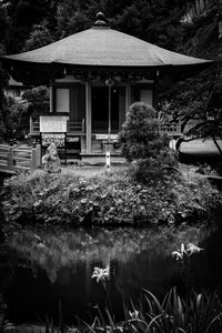 Preview wallpaper pagoda, building, pond, black and white