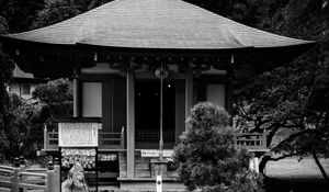 Preview wallpaper pagoda, building, pond, black and white