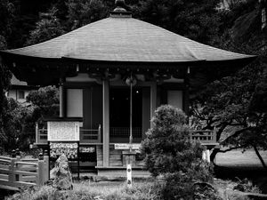 Preview wallpaper pagoda, building, pond, black and white