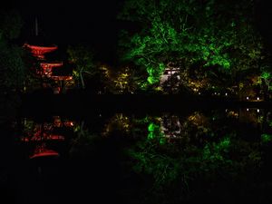 Preview wallpaper pagoda, building, reflection, pond, night