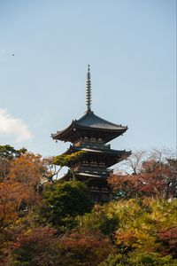 Preview wallpaper pagoda, building, roofs, trees, architecture