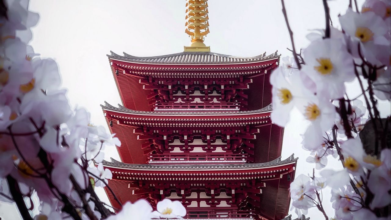 Wallpaper pagoda, building, sakura, temple, flowers