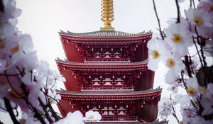 Preview wallpaper pagoda, building, sakura, temple, flowers