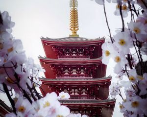Preview wallpaper pagoda, building, sakura, temple, flowers