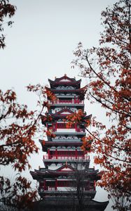 Preview wallpaper pagoda, building, temple, architecture, trees