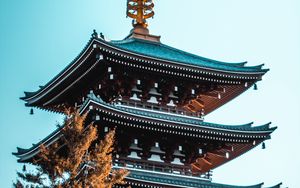 Preview wallpaper pagoda, building, tree, architecture