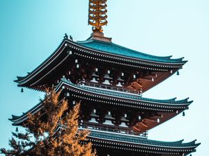 Preview wallpaper pagoda, building, tree, architecture