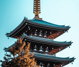 Preview wallpaper pagoda, building, tree, architecture