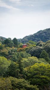 Preview wallpaper pagoda, building, trees, forest, sky