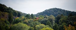 Preview wallpaper pagoda, building, trees, forest, sky