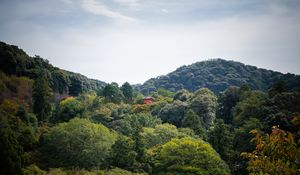 Preview wallpaper pagoda, building, trees, forest, sky