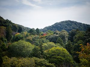 Preview wallpaper pagoda, building, trees, forest, sky