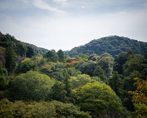 Preview wallpaper pagoda, building, trees, forest, sky