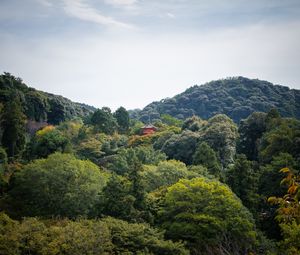 Preview wallpaper pagoda, building, trees, forest, sky