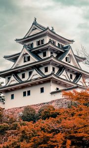 Preview wallpaper pagoda, building, trees, autumn