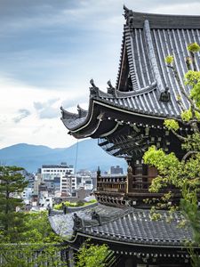 Preview wallpaper pagoda, buildings, architecture, branches