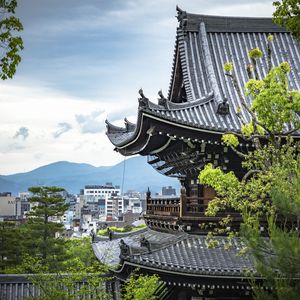 Preview wallpaper pagoda, buildings, architecture, branches