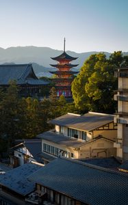 Preview wallpaper pagoda, buildings, roofs, city, architecture, japan