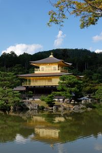 Preview wallpaper pagoda, forest, trees, river, reflection, nature