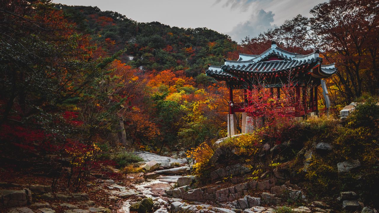Wallpaper pagoda, garden, trees, autumn