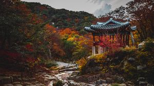 Preview wallpaper pagoda, garden, trees, autumn