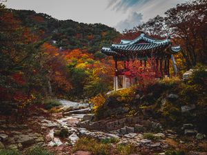 Preview wallpaper pagoda, garden, trees, autumn