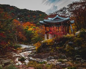 Preview wallpaper pagoda, garden, trees, autumn