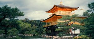 Preview wallpaper pagoda, pond, architecture, japan
