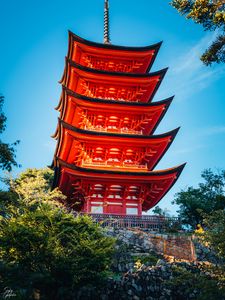 Preview wallpaper pagoda, roof, building, architecture