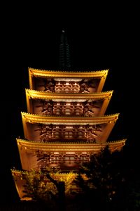 Preview wallpaper pagoda, roof, glow, lights, trees, branches, night