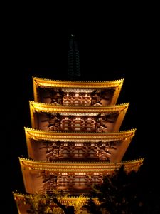 Preview wallpaper pagoda, roof, glow, lights, trees, branches, night