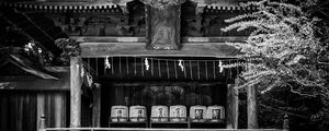 Preview wallpaper pagoda, roof, wooden, black and white, architecture