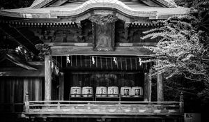 Preview wallpaper pagoda, roof, wooden, black and white, architecture