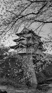 Preview wallpaper pagoda, sakura, spring, black and white, aesthetics
