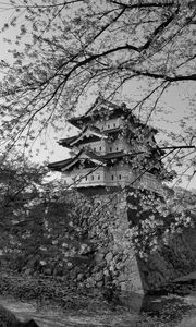 Preview wallpaper pagoda, sakura, spring, black and white, aesthetics