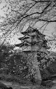 Preview wallpaper pagoda, sakura, spring, black and white, aesthetics