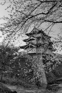 Preview wallpaper pagoda, sakura, spring, black and white, aesthetics