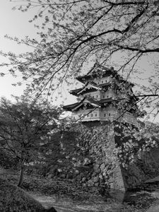 Preview wallpaper pagoda, sakura, spring, black and white, aesthetics