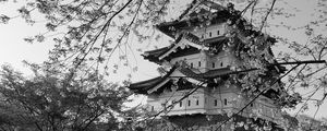 Preview wallpaper pagoda, sakura, spring, black and white, aesthetics