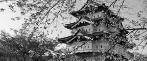 Preview wallpaper pagoda, sakura, spring, black and white, aesthetics