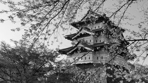 Preview wallpaper pagoda, sakura, spring, black and white, aesthetics