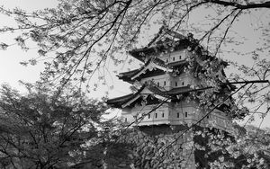 Preview wallpaper pagoda, sakura, spring, black and white, aesthetics