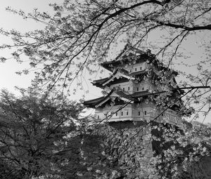 Preview wallpaper pagoda, sakura, spring, black and white, aesthetics