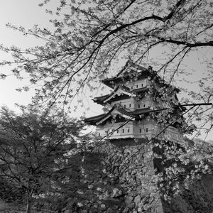 Preview wallpaper pagoda, sakura, spring, black and white, aesthetics