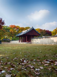 Preview wallpaper pagoda, temple, architecture, field, fence, trees, landscape