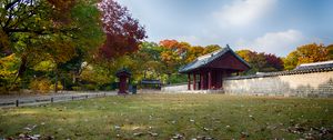 Preview wallpaper pagoda, temple, architecture, field, fence, trees, landscape